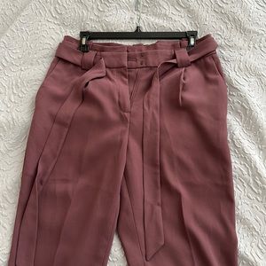 Express Dress Pants